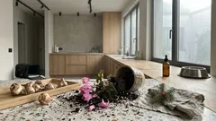 Piante tossiche per cani e gatti: segnali, tempi (fino a 48 ore) e cosa fare subito